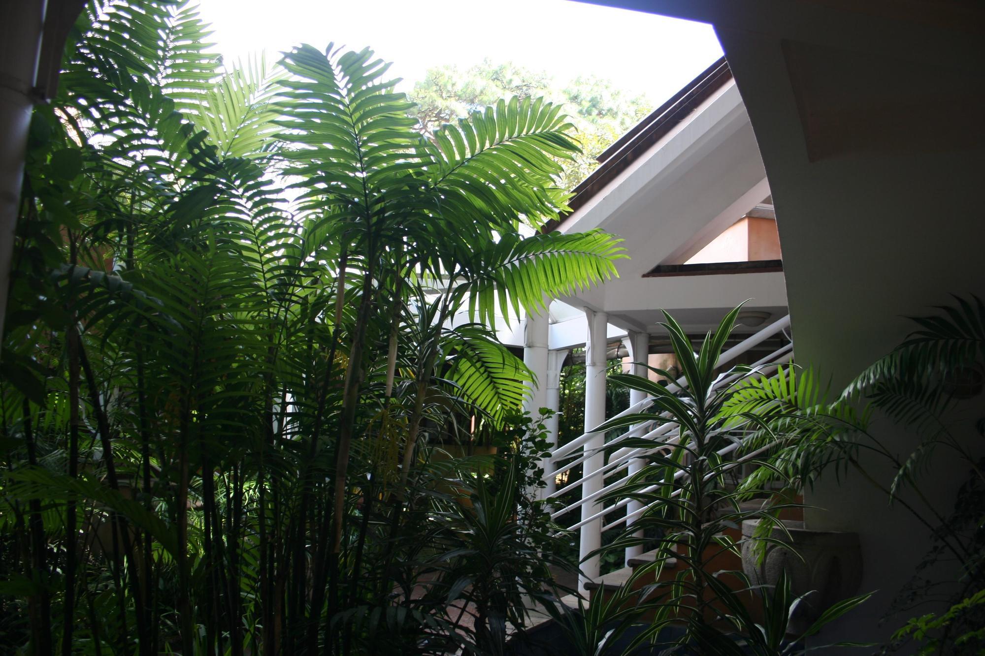 Hotel Ciudad Vieja Guatemala City Ngoại thất bức ảnh