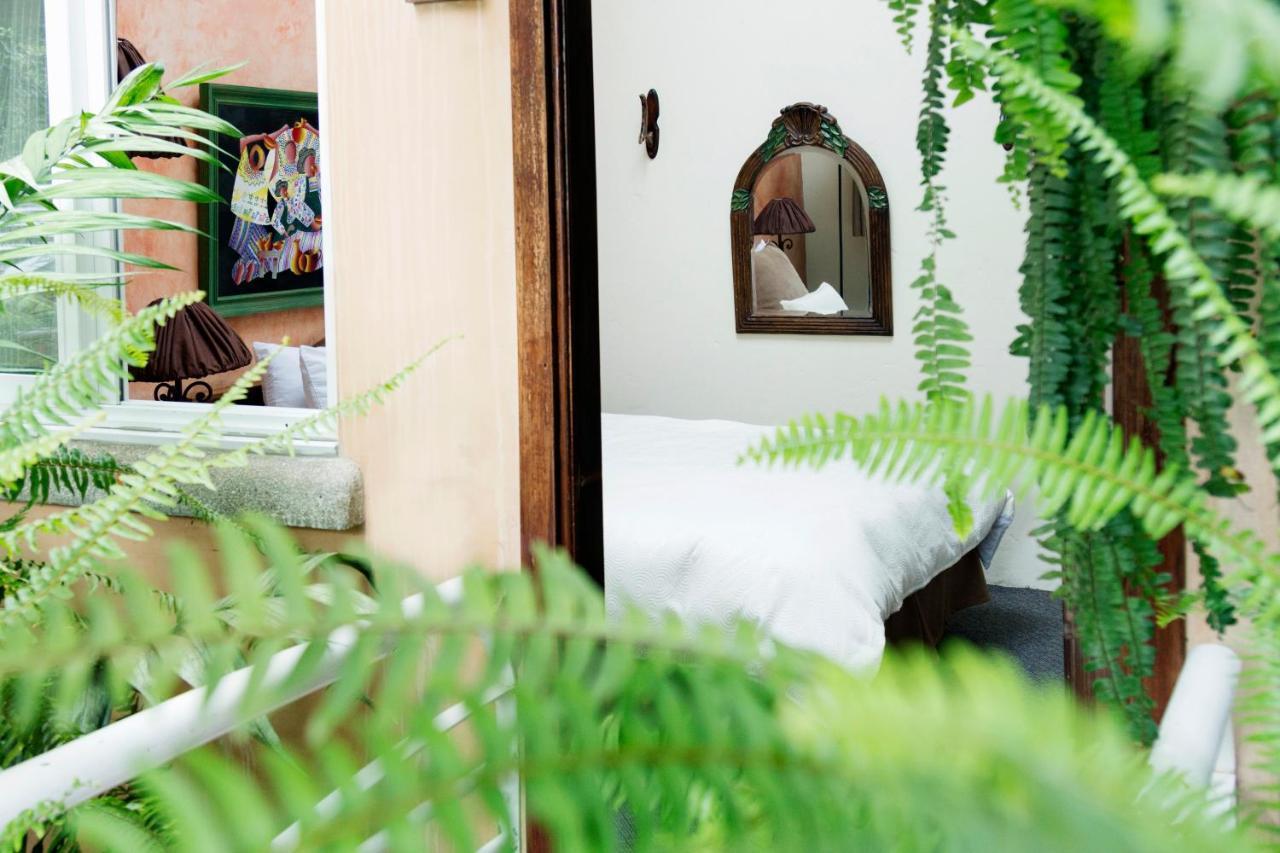 Hotel Ciudad Vieja Guatemala City Ngoại thất bức ảnh